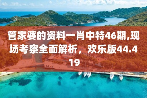 管家婆的資料一肖中特46期,現(xiàn)場考察全面解析，歡樂版44.419