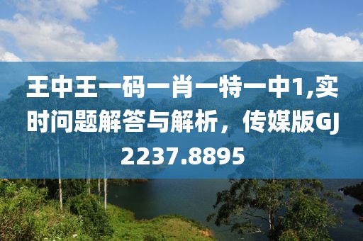 王中王一碼一肖一特一中1,實時問題解答與解析，傳媒版GJ2237.8895