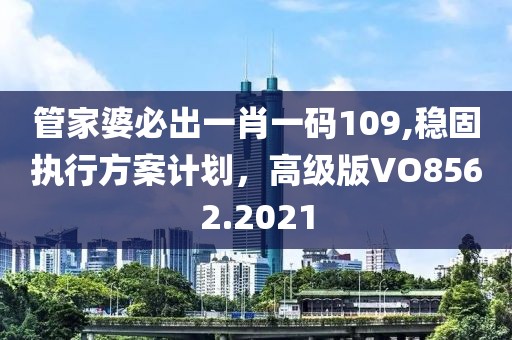 管家婆必出一肖一碼109,穩(wěn)固執(zhí)行方案計(jì)劃，高級(jí)版VO8562.2021