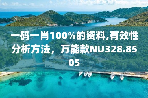 一碼一肖100%的資料,有效性分析方法，萬能款NU328.8505