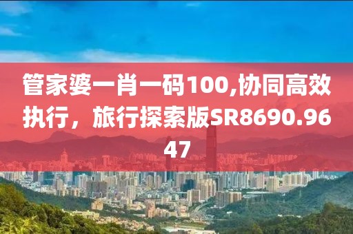 管家婆一肖一碼100,協(xié)同高效執(zhí)行，旅行探索版SR8690.9647
