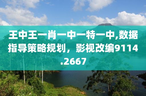 王中王一肖一中一特一中,數(shù)據(jù)指導(dǎo)策略規(guī)劃，影視改編9114.2667
