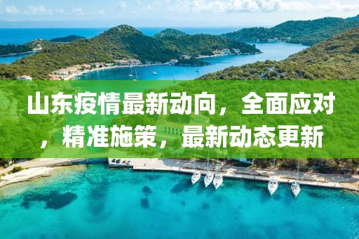 山東疫情最新動(dòng)向，全面應(yīng)對(duì)，精準(zhǔn)施策，最新動(dòng)態(tài)更新