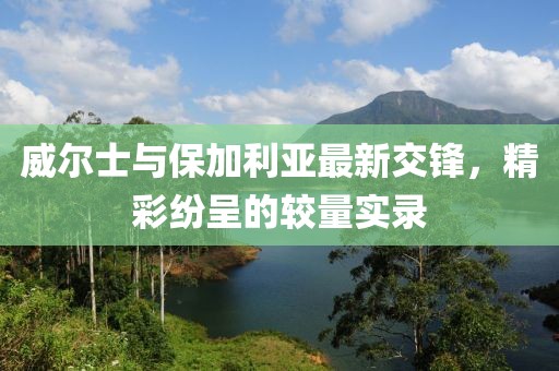 威爾士與保加利亞最新交鋒，精彩紛呈的較量實(shí)錄