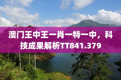 澳門王中王一肖一特一中，科技成果解析TT841.379