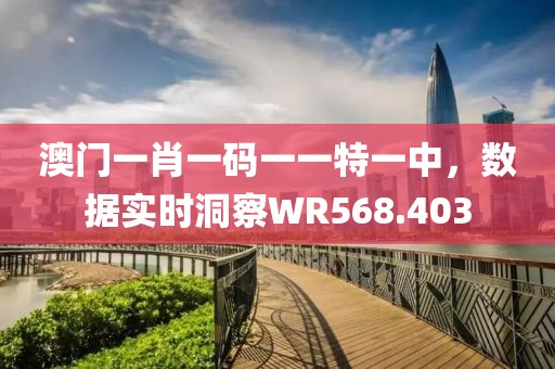 澳門一肖一碼一一特一中，數(shù)據(jù)實時洞察WR568.403