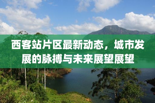 西客站片區(qū)最新動態(tài)，城市發(fā)展的脈搏與未來展望展望