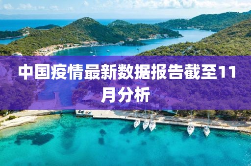 中國疫情最新數(shù)據(jù)報告截至11月分析