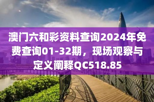 澳門(mén)六和彩資料查詢2024年免費(fèi)查詢01-32期，現(xiàn)場(chǎng)觀察與定義闡釋QC518.85
