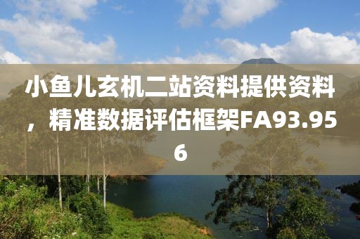 小魚兒玄機(jī)二站資料提供資料，精準(zhǔn)數(shù)據(jù)評估框架FA93.956
