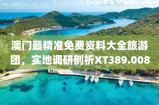 澳門最精準(zhǔn)免費(fèi)資料大全旅游團(tuán)，實(shí)地調(diào)研剖析XT389.008