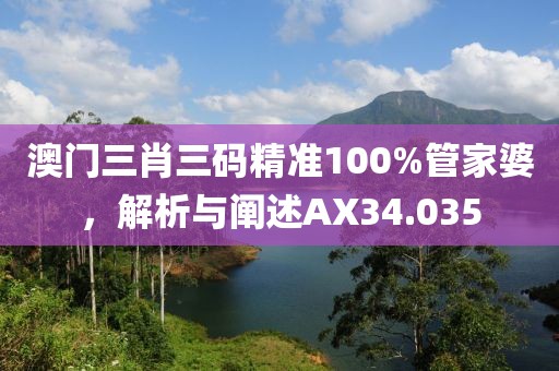 澳門三肖三碼精準100%管家婆，解析與闡述AX34.035