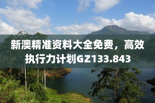 新澳精準資料大全免費，高效執(zhí)行力計劃GZ133.843