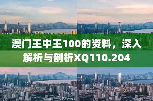 澳門王中王100的資料，深入解析與剖析XQ110.204