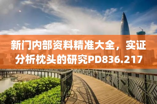 新門內(nèi)部資料精準(zhǔn)大全，實(shí)證分析枕頭的研究PD836.217