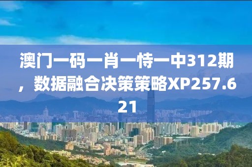 澳門(mén)一碼一肖一恃一中312期，數(shù)據(jù)融合決策策略XP257.621