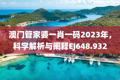 澳門管家婆一肖一碼2023年，科學(xué)解析與闡釋EJ648.932