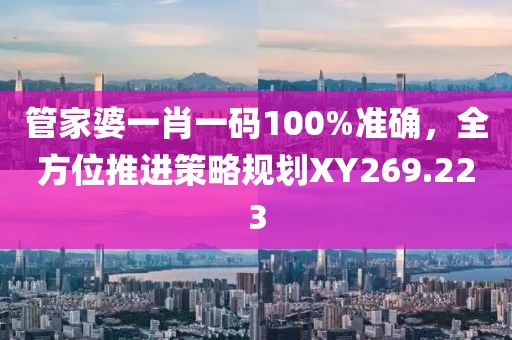 管家婆一肖一碼100%準確，全方位推進策略規(guī)劃XY269.223