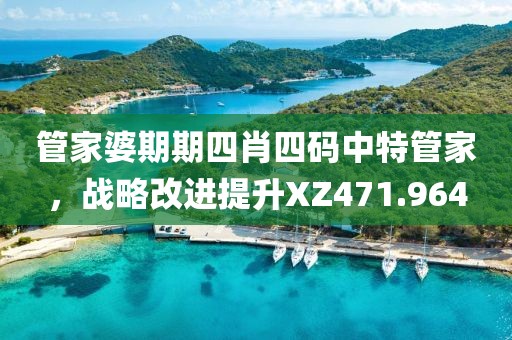 管家婆期期四肖四碼中特管家，戰(zhàn)略改進(jìn)提升XZ471.964