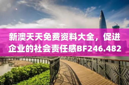 新澳天天免費資料大全，促進企業(yè)的社會責任感BF246.482