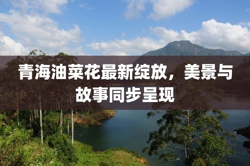 青海油菜花最新綻放，美景與故事同步呈現(xiàn)