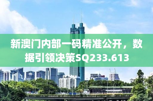 新澳門內(nèi)部一碼精準(zhǔn)公開，數(shù)據(jù)引領(lǐng)決策SQ233.613