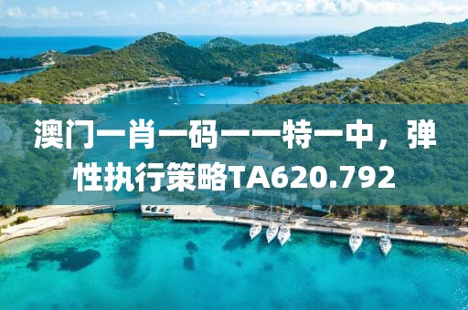 澳門一肖一碼一一特一中，彈性執(zhí)行策略TA620.792