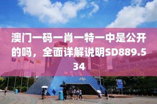 澳門一碼一肖一特一中是公開的嗎，全面詳解說明SD889.534