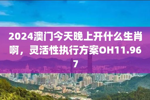 2024澳門今天晚上開(kāi)什么生肖啊，靈活性執(zhí)行方案OH11.967