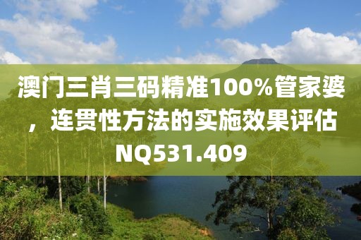 澳門三肖三碼精準100%管家婆，連貫性方法的實施效果評估NQ531.409