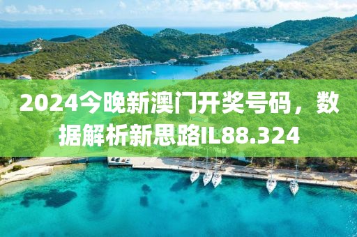 2024今晚新澳門(mén)開(kāi)獎(jiǎng)號(hào)碼，數(shù)據(jù)解析新思路IL88.324