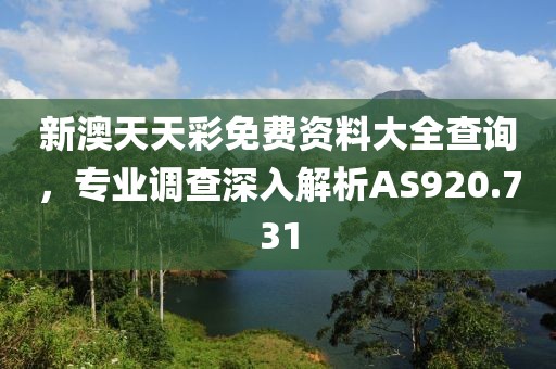 新澳天天彩免費資料大全查詢，專業(yè)調查深入解析AS920.731