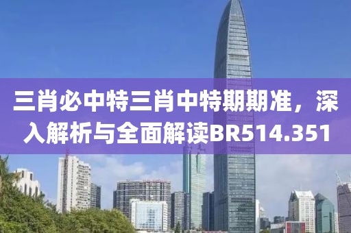 三肖必中特三肖中特期期準(zhǔn)，深入解析與全面解讀BR514.351