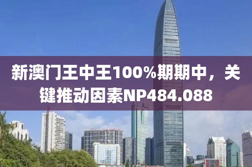新澳門(mén)王中王100%期期中，關(guān)鍵推動(dòng)因素NP484.088
