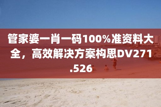 管家婆一肖一碼100%準(zhǔn)資料大全，高效解決方案構(gòu)思DV271.526