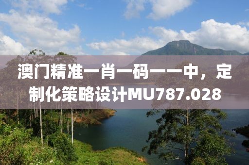 澳門精準(zhǔn)一肖一碼一一中，定制化策略設(shè)計(jì)MU787.028