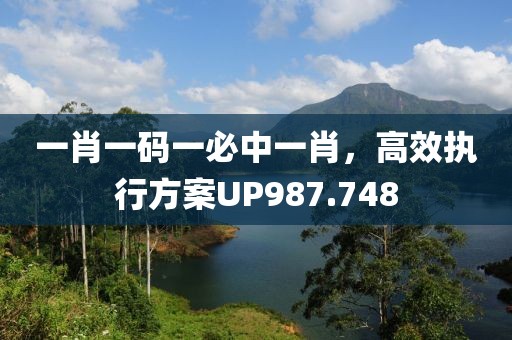 一肖一碼一必中一肖，高效執(zhí)行方案UP987.748