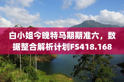 白小姐今晚特馬期期準(zhǔn)六，數(shù)據(jù)整合解析計(jì)劃FS418.168