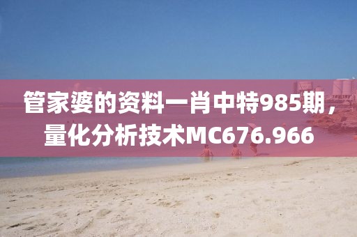 管家婆的資料一肖中特985期，量化分析技術(shù)MC676.966