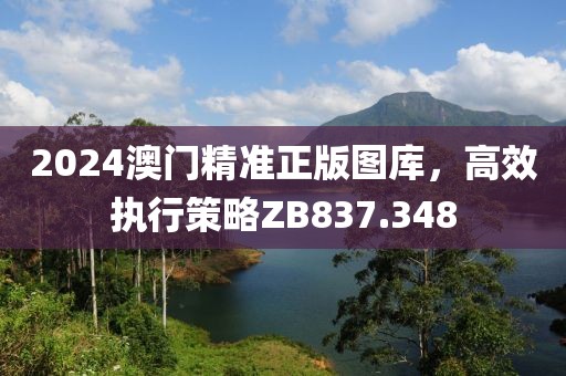 2024澳門精準正版圖庫，高效執(zhí)行策略ZB837.348