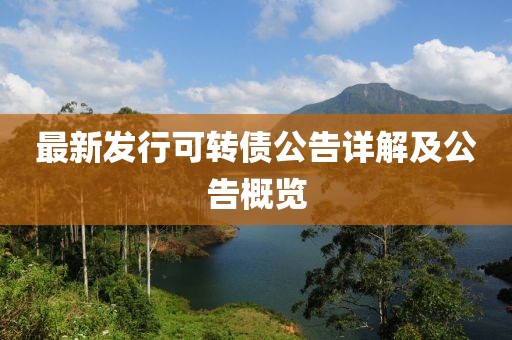最新發(fā)行可轉(zhuǎn)債公告詳解及公告概覽