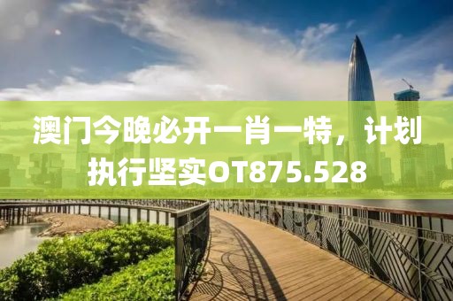 澳門今晚必開一肖一特，計劃執(zhí)行堅實OT875.528