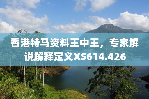 香港特馬資料王中王，專家解說解釋定義XS614.426