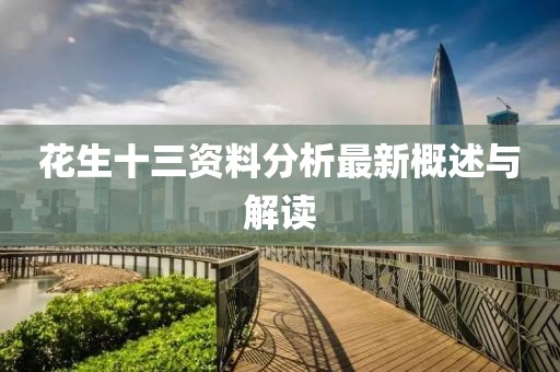 花生十三資料分析最新概述與解讀