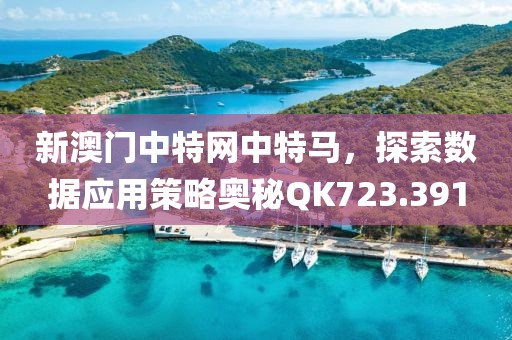 新澳門中特網(wǎng)中特馬，探索數(shù)據(jù)應(yīng)用策略奧秘QK723.391