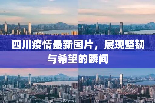 公司資訊 NEWS 第612頁