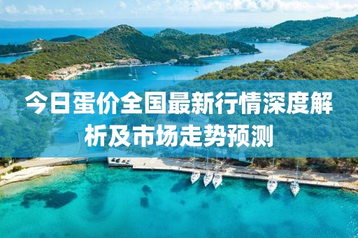 今日蛋價全國最新行情深度解析及市場走勢預測
