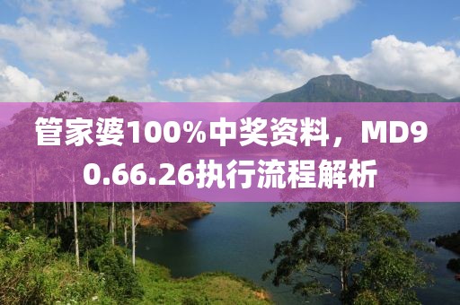 管家婆100%中獎(jiǎng)資料，MD90.66.26執(zhí)行流程解析
