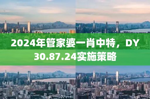 2024年管家婆一肖中特，DY30.87.24實施策略