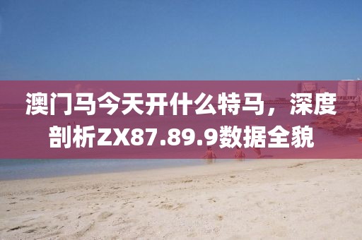 澳門馬今天開什么特馬，深度剖析ZX87.89.9數(shù)據(jù)全貌